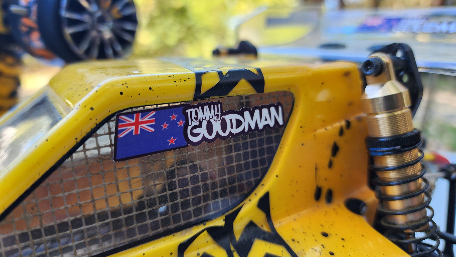 RC 1/10th Scale Buggy/Car/Truck Stickers